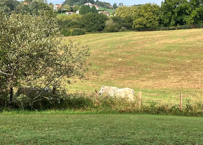 Location de vacances: Villa Arcangues